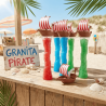 Gourde à granita bateau pirate de 40 cl