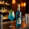 Sirop Eyguebelle goût menthe glaciale - 1 L